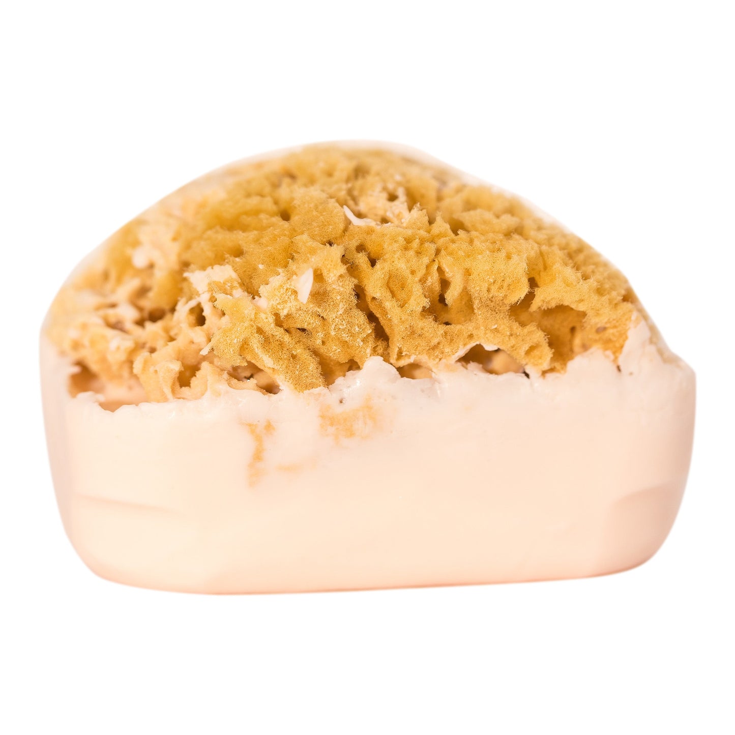 Goat's Milk Soap w/ Sea Sponge - Bath & Body Fusion