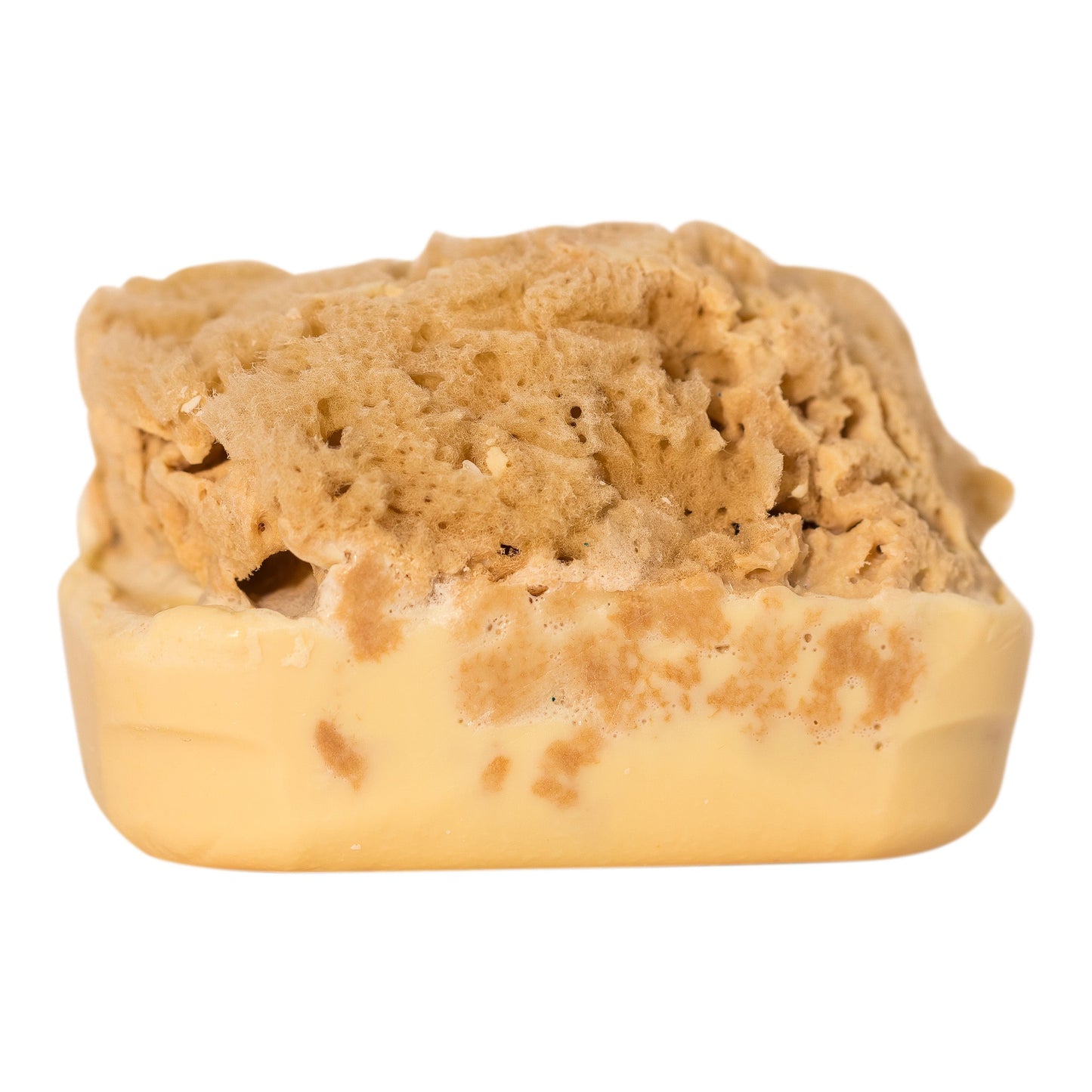 Goat's Milk Soap w/ Sea Sponge - Bath & Body Fusion