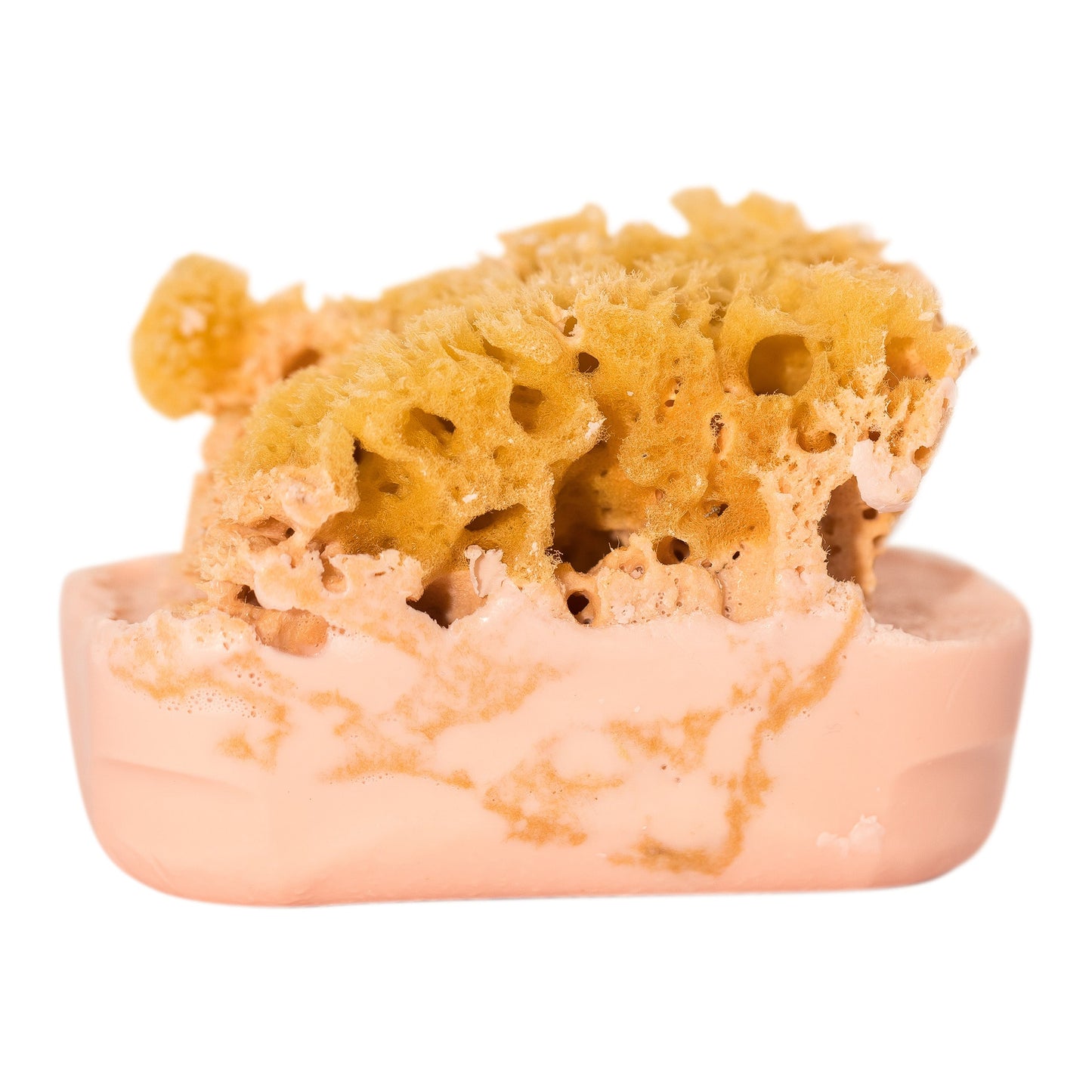 Goat's Milk Soap w/ Sea Sponge - Bath & Body Fusion