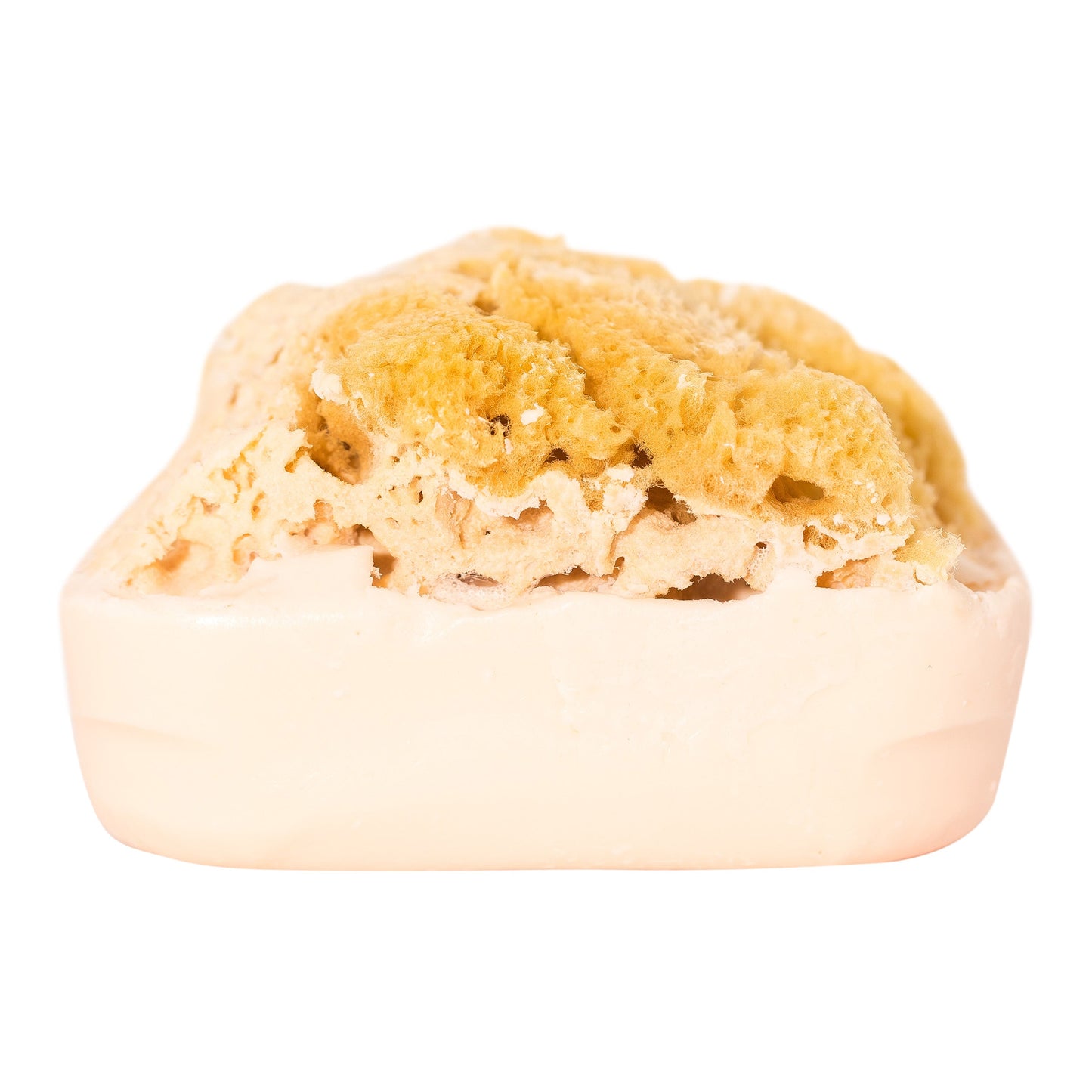 Goat's Milk Soap w/ Sea Sponge - Bath & Body Fusion