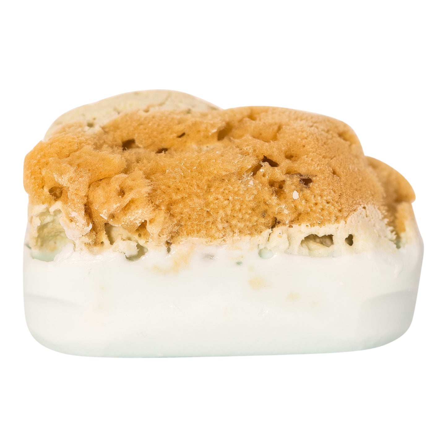 Goat's Milk Soap w/ Sea Sponge - Bath & Body Fusion