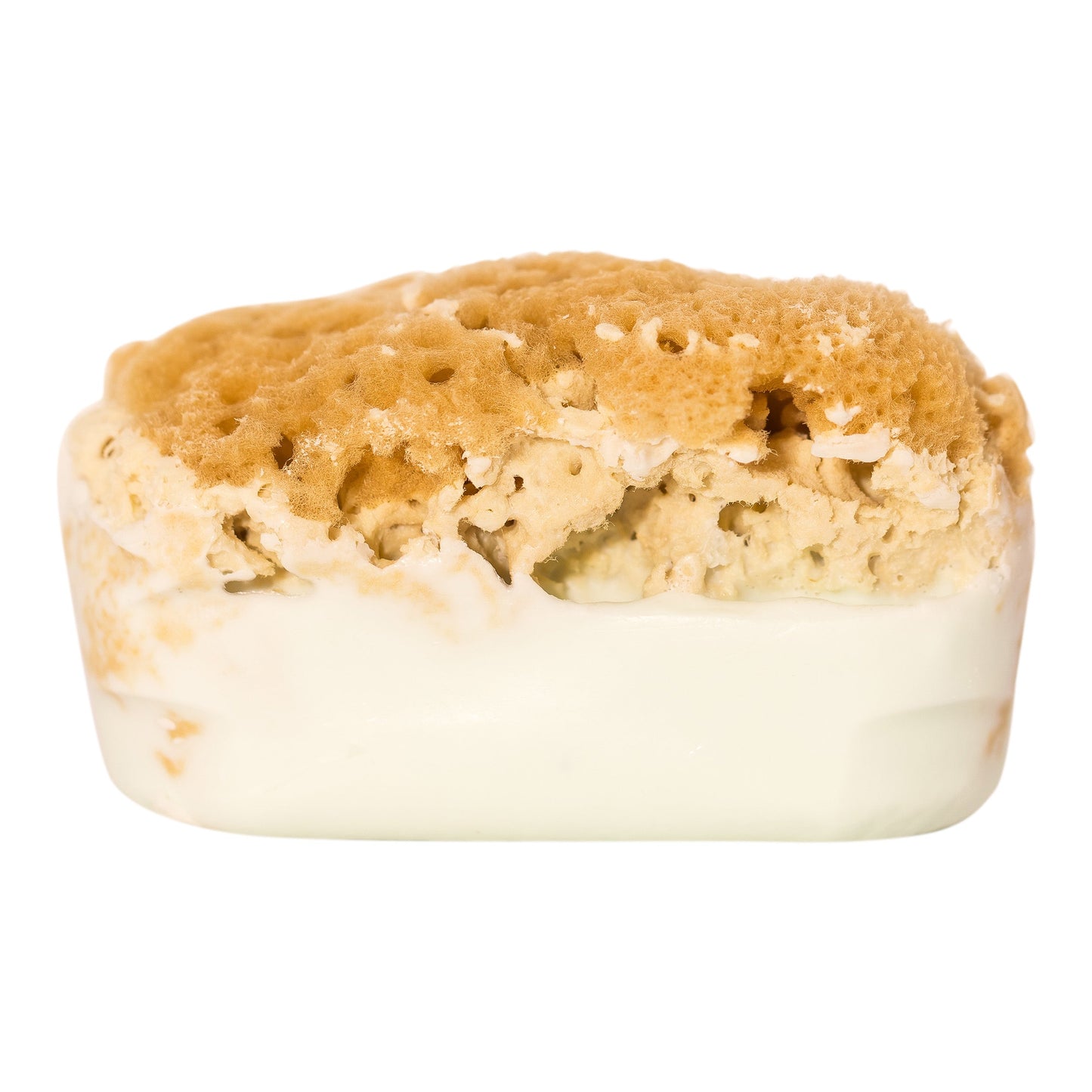 Goat's Milk Soap w/ Sea Sponge - Bath & Body Fusion