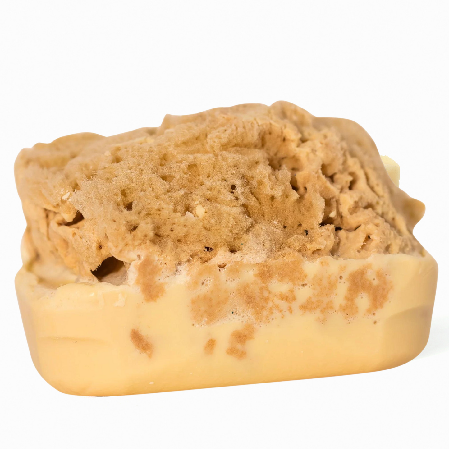 Goat's Milk Soap w/ Sea Sponge
