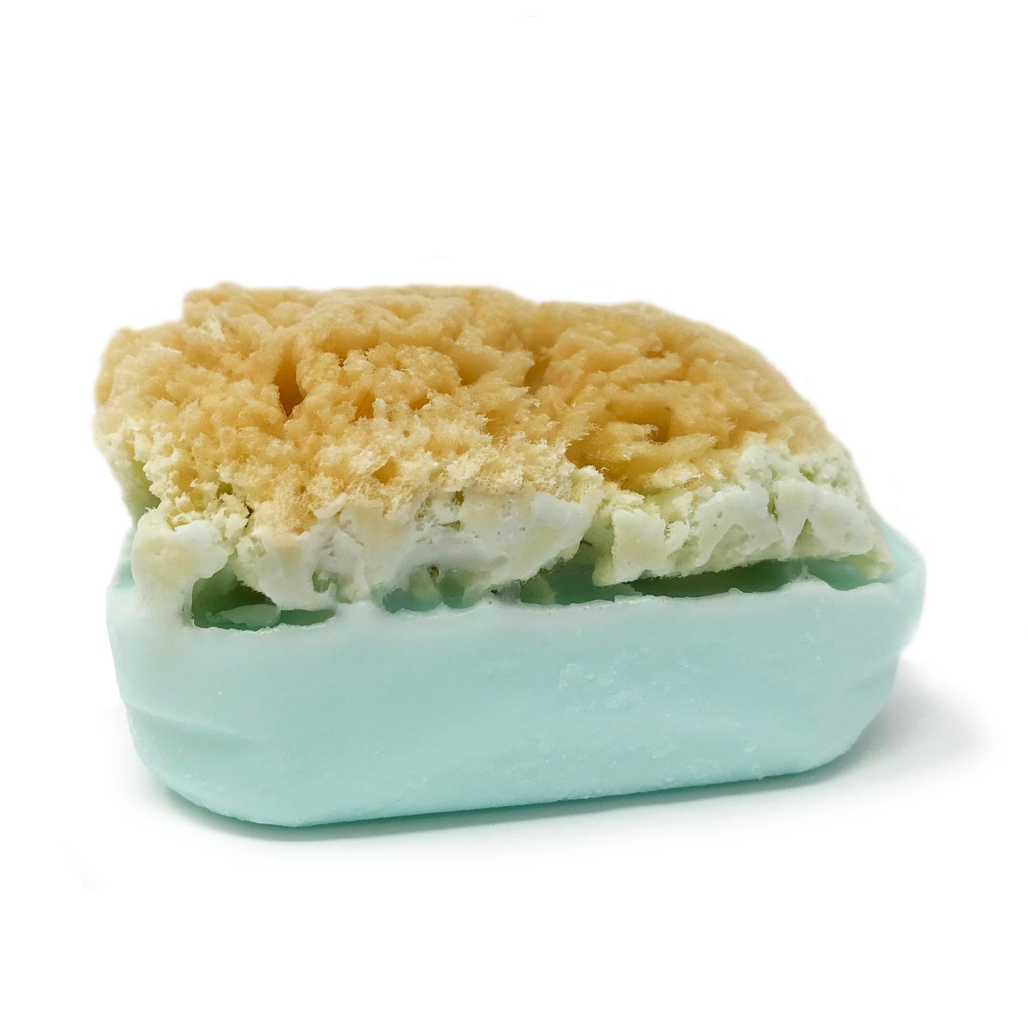 Goat's Milk Soap w/ Sea Sponge - Bath & Body Fusion